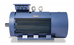 Silnik synchroniczny z magnesami trwałymi o zmiennej częstotliwości serii TYP