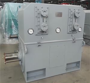 Y, YKS, YKK series 10kV (H355~630) medium high voltage three-phase asynchronous motors