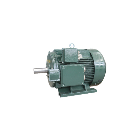 TCYP series variable frequency synchronous reluctance motor