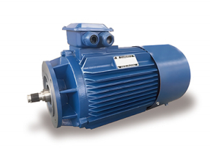 YE3 Series Gear reducera synchronous Motor