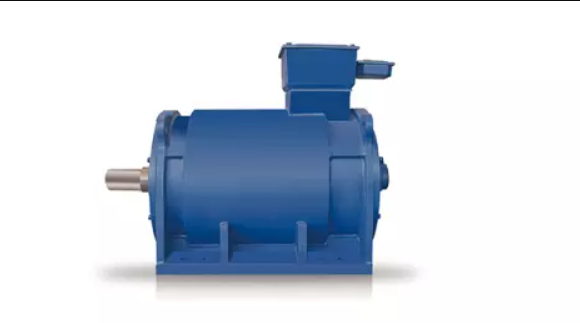 Which Motor Has A Permanent Magnet Rotor?