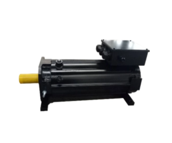 permanent magnet motors